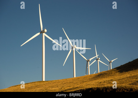 Alternative di energia verde rotante turbine a vento sulla collina Foto Stock