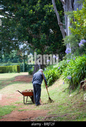 Giardini Pubblici a Quinta do Santo da Serra a Madera Foto Stock