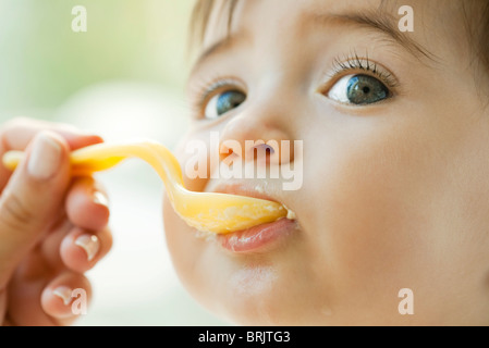 Infant essendo alimentato con un cucchiaio Foto Stock