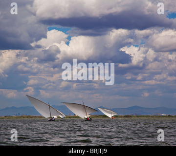 Gara di vela nel lago di La Albufera di Valencia, Spagna Foto Stock