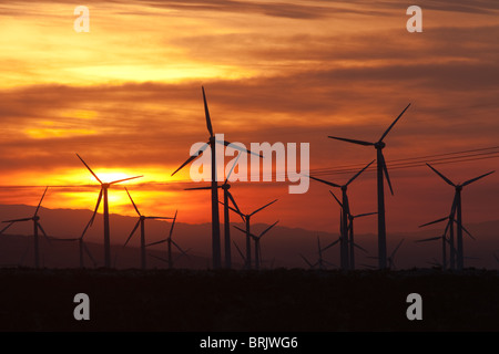 Le turbine eoliche che generano elettricità all alba del San Gorgonio Pass Wind Farm che serve Palm Springs, California. Foto Stock