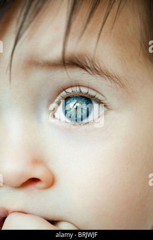 Infant's eye, close-up Foto Stock