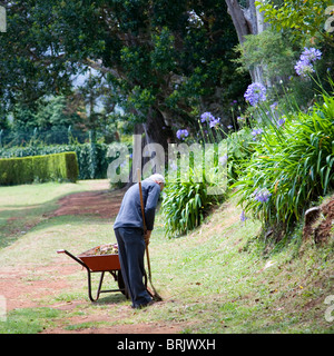 Giardini pubblici a Quinta do Santo da Serra a Madera Foto Stock