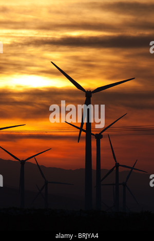 Le turbine eoliche che generano elettricità all alba del San Gorgonio Pass Wind Farm che serve Palm Springs, California. Foto Stock