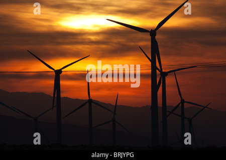 Le turbine eoliche che generano elettricità all alba del San Gorgonio Pass Wind Farm che serve Palm Springs, California. Foto Stock