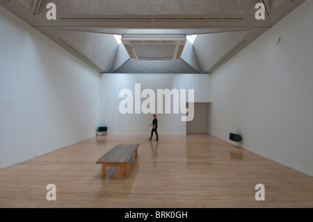 Il lavoro di quattro artisti inglesi da approvare per il Turner Prize 2010 sul display alla Tate Gallery di Londra, Inghilterra Foto Stock