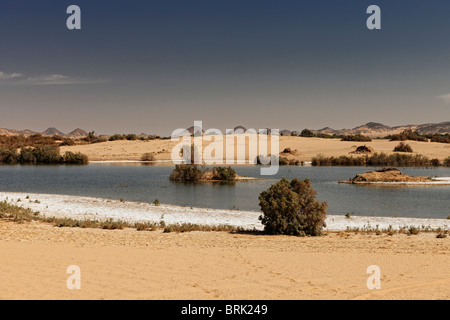 Salt Lake vicino oasi Bahariya, Western Desert, Egitto, Africa Foto Stock