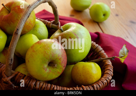 Frutti d'autunno - Bramley mele, Cox's Orange Pippin e piccolo verde mangiare mele e mele cotogne - appena raccolto dal giardino. Foto Stock