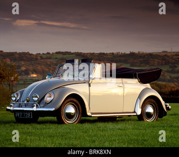 1954 Volkswagen maggiolino Cabriolet in campagna Foto Stock