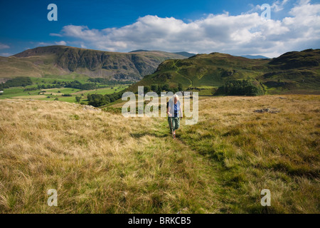 Il percorso fino a basso Rigg, St John's nella valle, Cumbria, Inghilterra Foto Stock