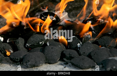 La combustione di carbonella biscotti impostato sul fuoco in un barbecue grill Foto Stock