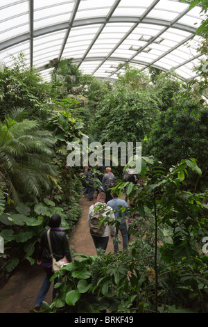 Lo Zoo di Colonia - la foresta pluviale tropicale a piedi di serra Foto Stock