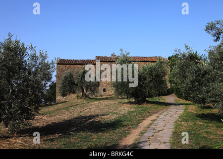 Agriturismo Casa di Leonardo da Vinci, Vinci, Toscana, Italia Foto Stock