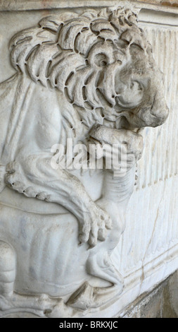 Dettaglio di lion scolpito sul sarcofago, il Camposanto Monumentale di Pisa, Italia Foto Stock