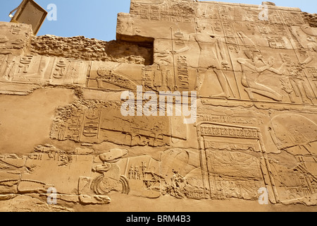 Antica egiziana bassorilievi sulla parete del tempio di Karnak, EGITTO Luxor Foto Stock