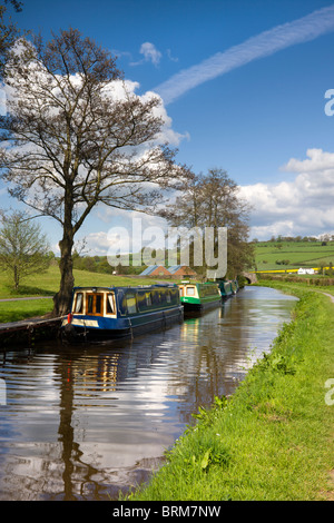 Narrowboats ormeggiato sul Monmouthshire e Brecon Canal vicino Pencelli, Parco Nazionale di Brecon Beacons, POWYS, GALLES. Foto Stock