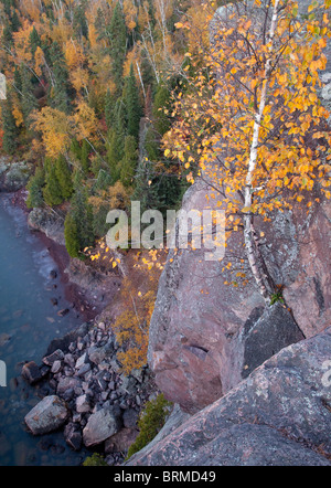 Cliff oltre il Lago Superiore al punto di pala, Tettegouche parco statale, Minnesota Foto Stock