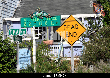 Memorizzare su East Main St., Port Jefferson Village, Long Island NY Foto Stock