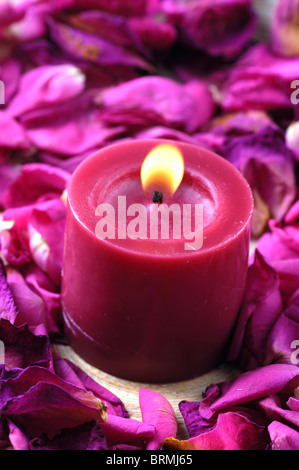 Candela accesa fino nei pressi di petali di rosa Foto Stock