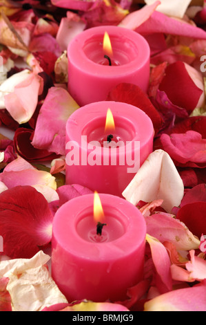 Candele accese fino nei pressi di petali di rosa Foto Stock