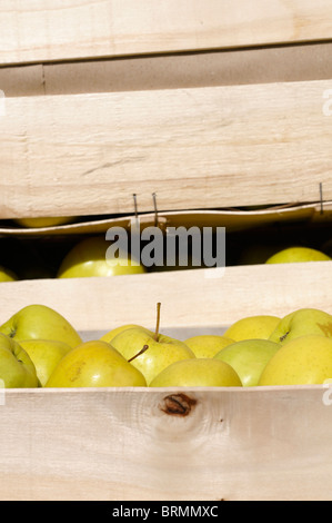 Foto di stock di mele impilati in scatole di legno. Foto Stock