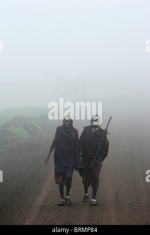 Guerrieri Maasai camminare insieme nella early MORNING MIST Foto Stock