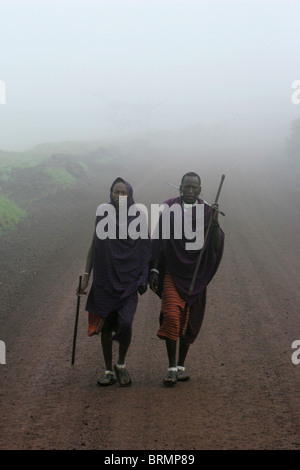 Guerrieri Maasai nelle prime ore del mattino la nebbia Foto Stock