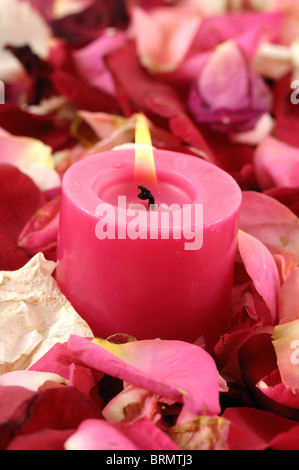 Candela accesa fino nei pressi di petali di rosa Foto Stock