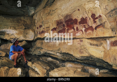 Un Uomo in camicia blu guardando fino ad una parete di roccia decorate con dipinti dei Boscimani, nella maggior parte dei casi di eland Foto Stock