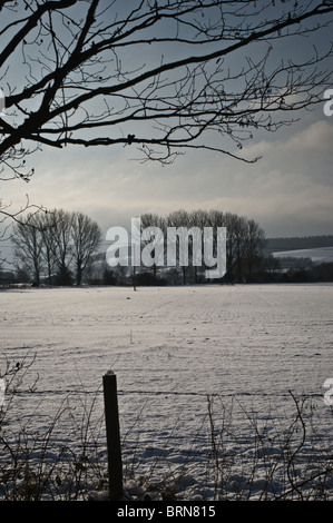 Scene di neve. vicino grande Wishford, Salisbury, Wilts Foto Stock