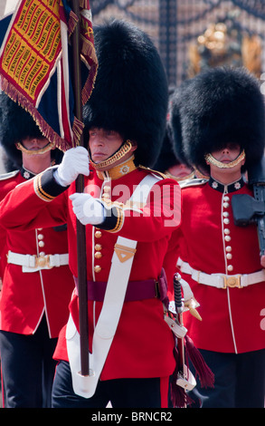 Coldstream guards alle porte di Buckingham Palace di Londra Foto Stock