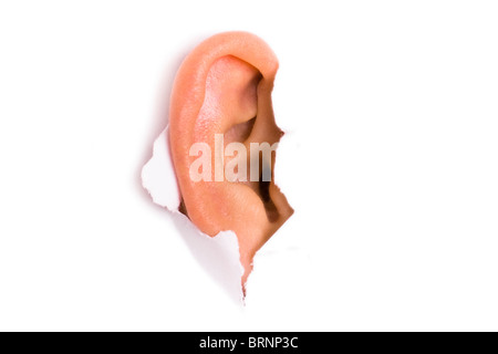 Donna orecchio fa capolino fuori dal bianco carta strappata Foto Stock