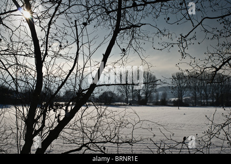 Scene di neve. vicino grande Wishford, Salisbury, Wilts Foto Stock