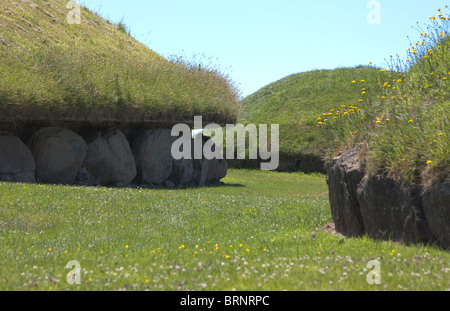 Vista principale e piccoli tumuli, Knowth passaggio neolitico grave, Boyne Valley, Irlanda Foto Stock