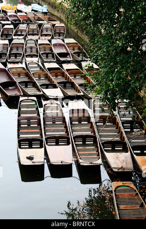 Sterline sul fiume Cherwell al Magdalen Bridge a Oxford, Inghilterra Foto Stock