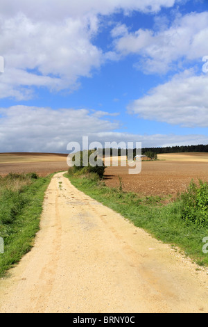 Strada che conduce nella bellissima campagna francese, vicino a Verdun, Meuse, Francia. Foto Stock