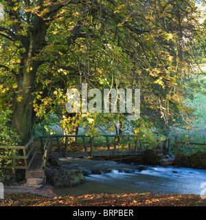 Ponte pedonale che attraversa il fiume Colomba, Beresford Dale, Derbyshire, Peak District, England, Regno Unito Foto Stock