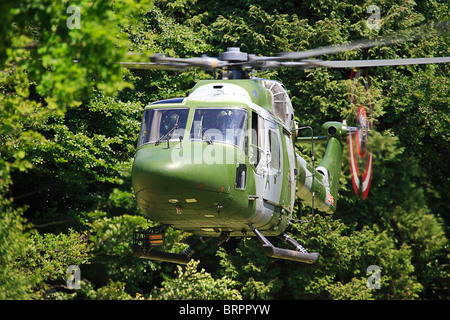 ZD173 LYNX AH7 Foto Stock