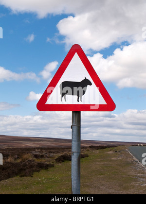 Il traffico su strada segno segno di avvertimento di ovini avanti England Regno Unito Foto Stock