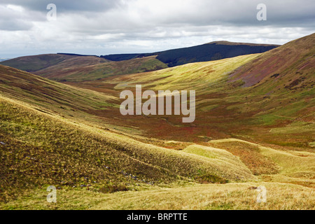 Grike dalla Lank Rigg nel Parco Nazionale del Distretto dei Laghi, Cumbria, Inghilterra, Regno Unito. Foto Stock