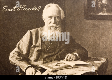 Ernst Heinrich Philipp August Haeckel (1834 - 1919), evolutiva teorico. Foto Stock
