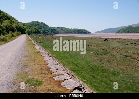 L'estuario del Mawddach e Trail Foto Stock