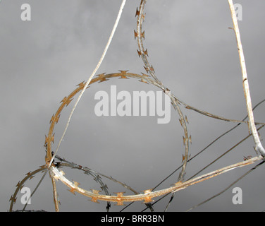 Filo spinato avvolto sulla parte superiore di una recinzione Foto Stock