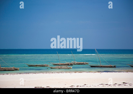 Spiaggia scena con outrigger barche da pesca ormeggiate in acque poco profonde off Mnemba Island Foto Stock