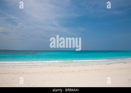 Isola tropicale scena di spiaggia Foto Stock