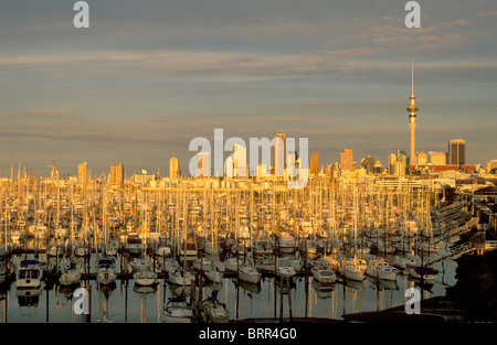 Porto per yacht e dello skyline della città nel tardo pomeriggio Foto Stock