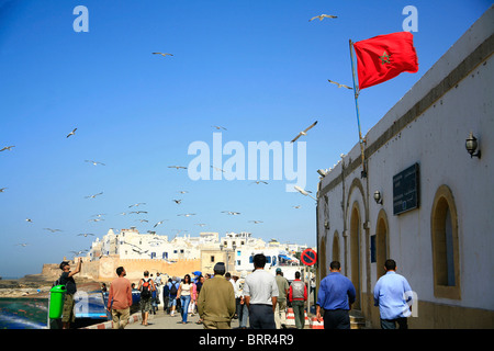 La gente camminare lungo la passeggiata a mare a Essaouira con i gabbiani flying overhead Foto Stock