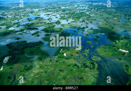 Vista aerea di Okavango Delta zona umida di terra fertile. Foto Stock