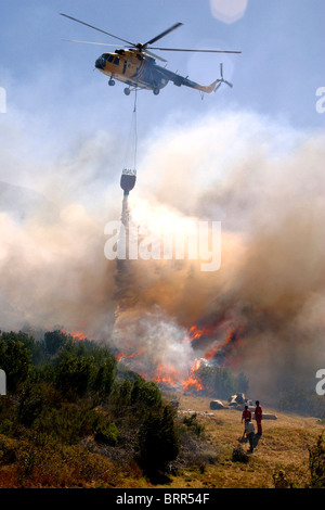 Elicottero di acqua-il bombardamento di un fuoco sulla Montagna della Tavola Foto Stock