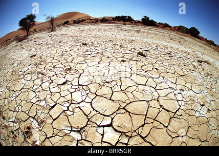 Massa rotto dal secco condizioni desertiche al Sossusvlei Foto Stock